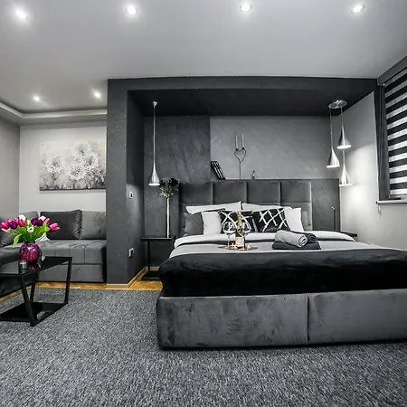 Sinergija * Βελιγράδι